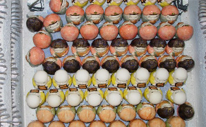 �ĕt���E���ʁ@�q�i730���j